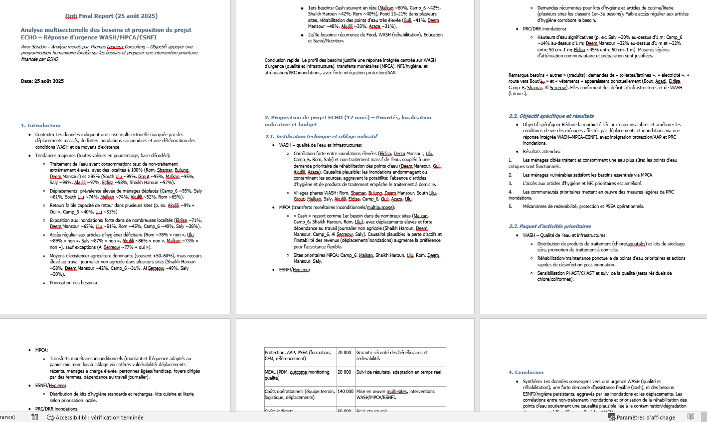 Pages d'un rapport narratif généré au format Word